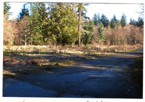 Mukilteo Pea Patch Garden