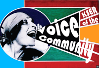 Voice of the Community Graphic